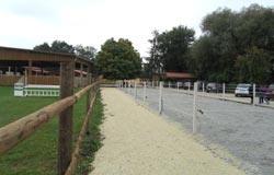 Bild eines Paddocks am Reitstall am Anger