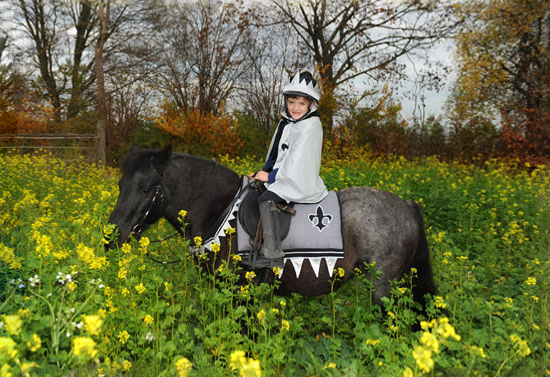 Bild eines Kindes als Ritter verkleidet auf einem Pony