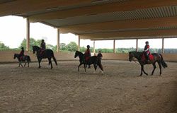 Bild einer Gruppe von Reitschülern in der Reithalle beim Unterricht