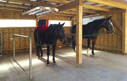 Bild des Putzplatzes für Pferde mit Solarium