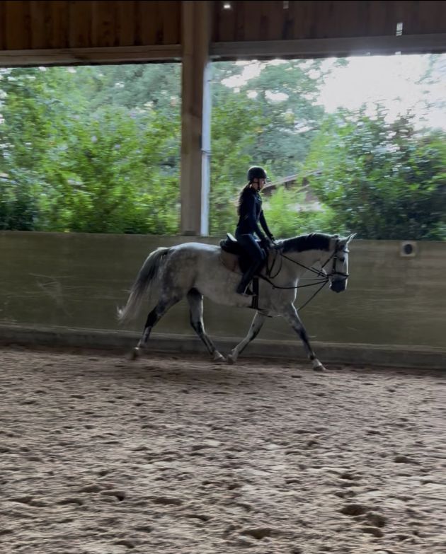 Bild einer Reitschülerin mit Pferd in der Reithalle