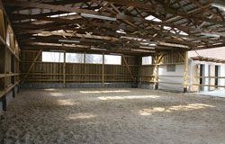 Bild mit Blick in die Reithalle