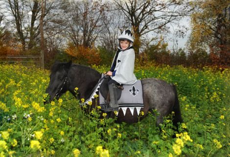 Bild eines Kindes als Ritter verkleidet auf einem Pony