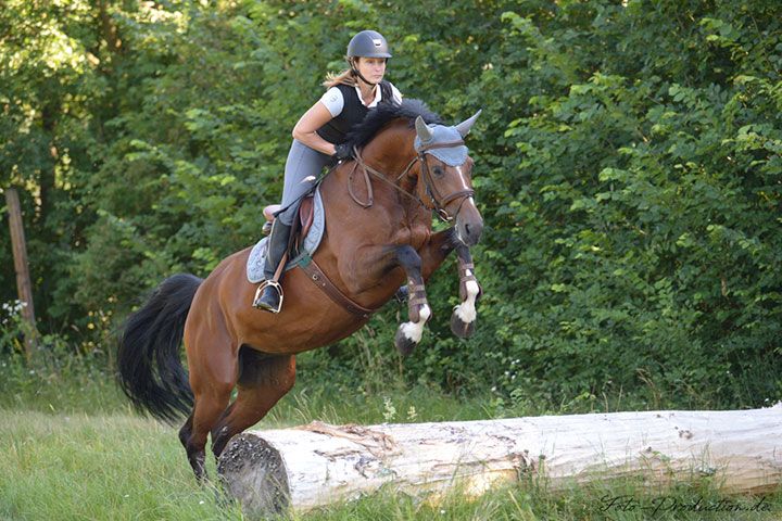 Bild einer Reiterin beim Sprung