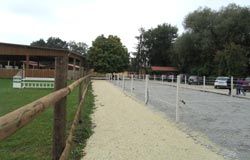 Bild eines Paddocks am Reitstall am Anger