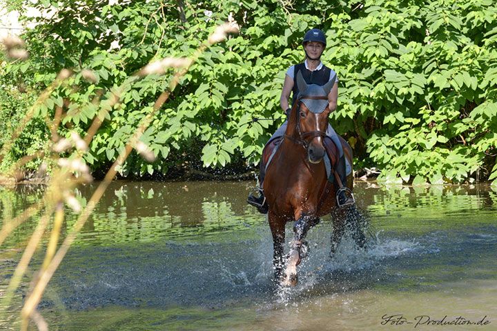 Bild einer Reiterin, die durch einen Bach reitet